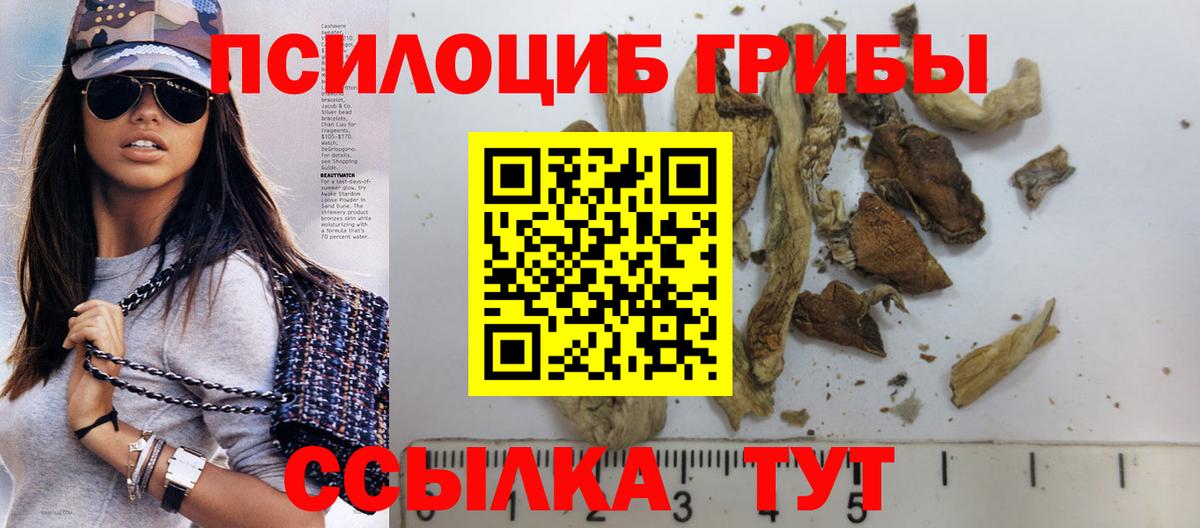 Псилоцибиновые грибы мухоморы Бузулук