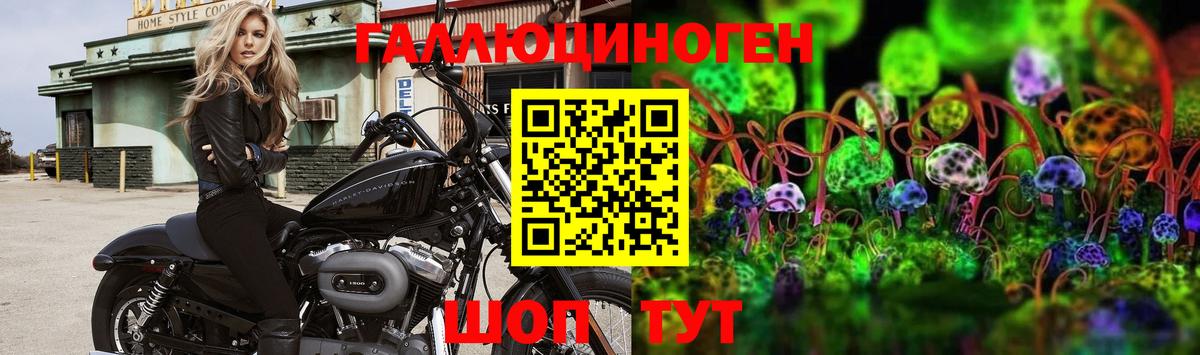 Псилоцибиновые грибы MAGIC MUSHROOMS  где можно купить   Бузулук  Вход с VPN 